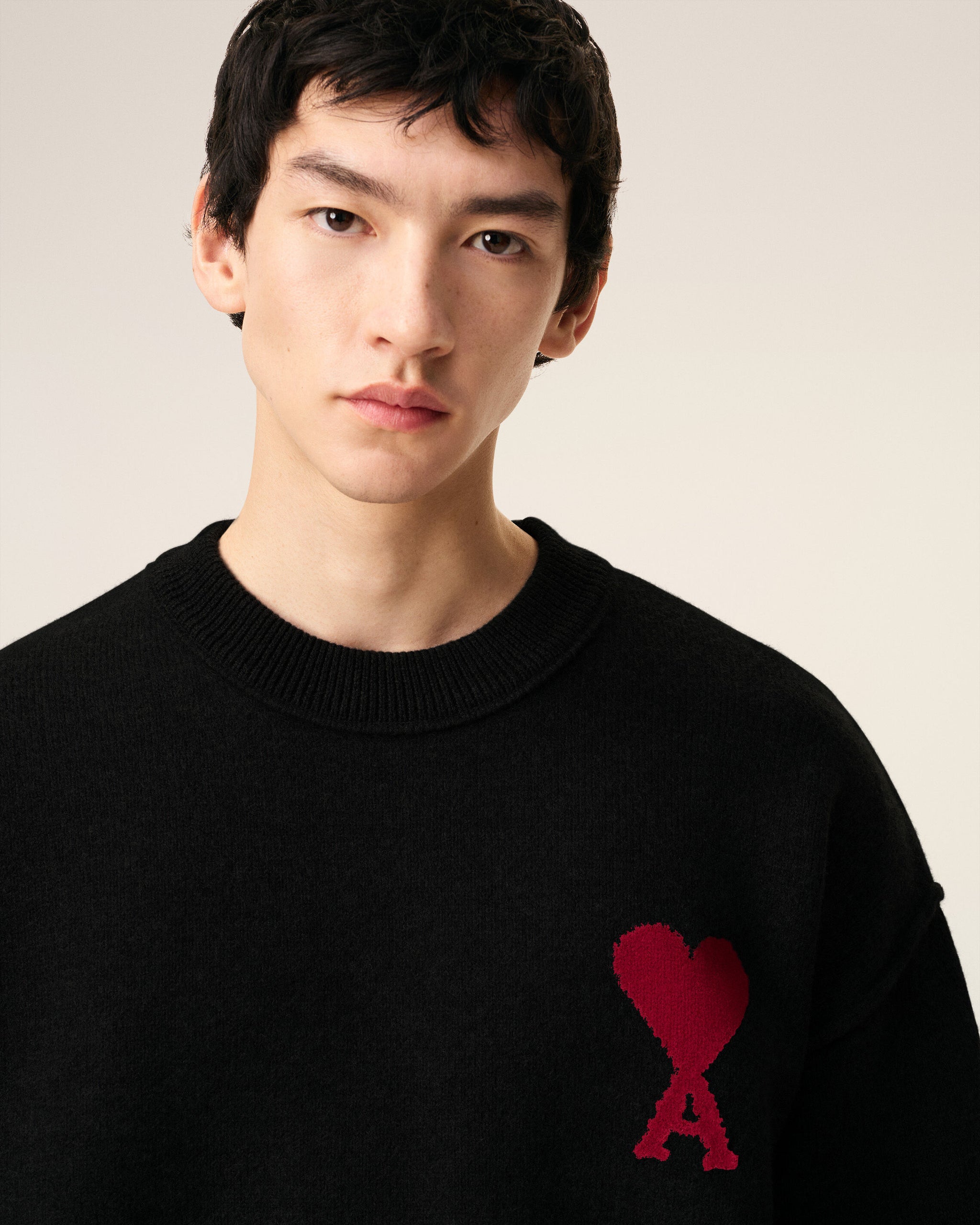 Pull Ami Paris