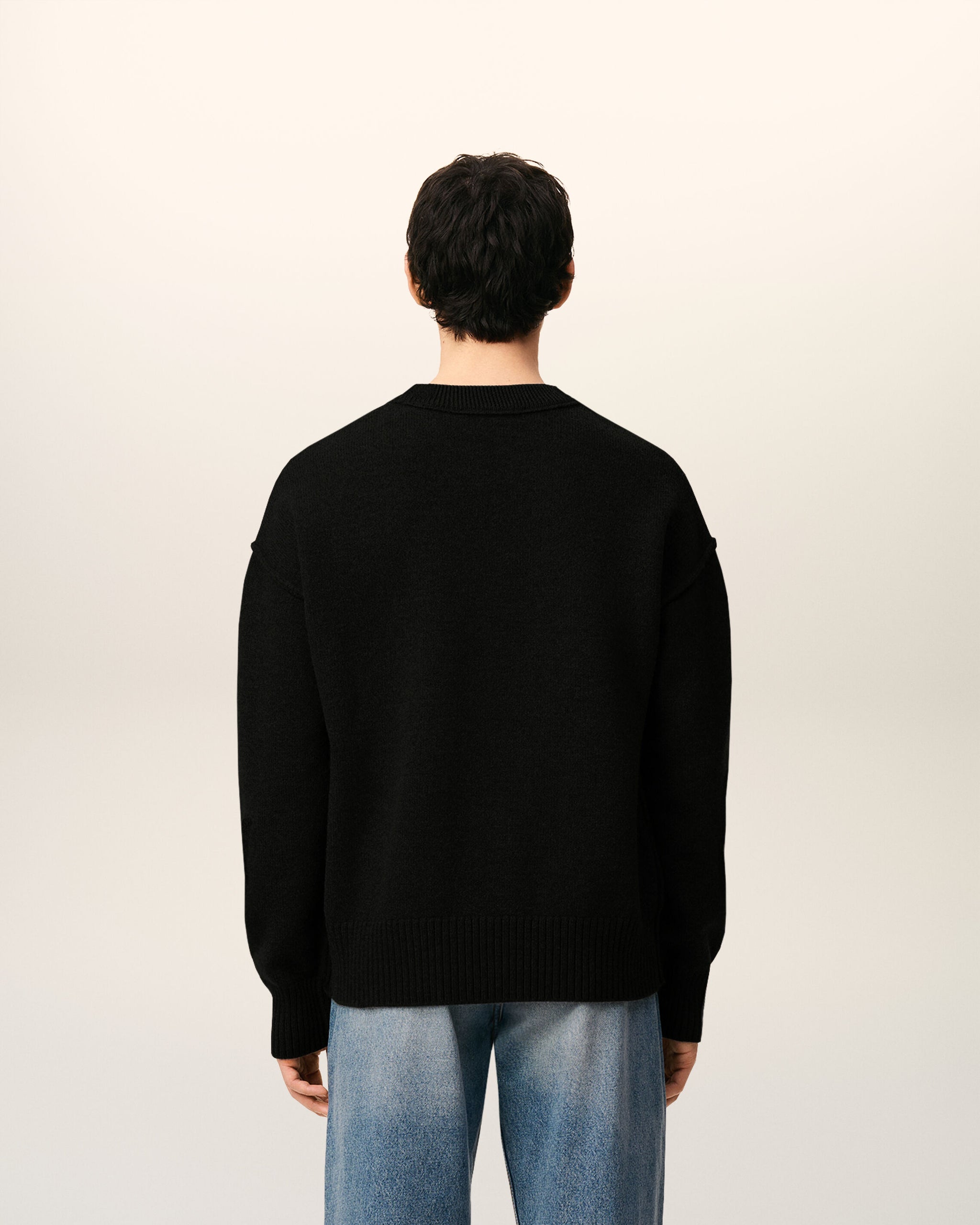 Pull Ami Paris
