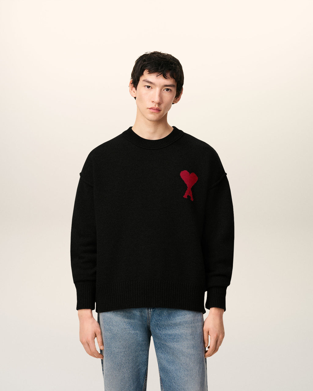 Pull Ami Paris